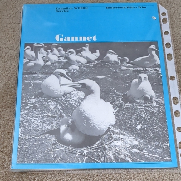 Canadian Postage Stamps - Picture 2 of 5